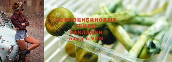 гидропоника Балабаново