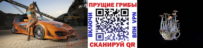 Псилоцибиновые грибы Magic Shrooms  наркотики  hydra ТОР  Ленск 